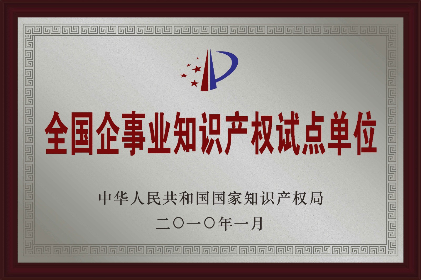 06-全國(guó)企事業(yè)單位知識(shí)產(chǎn)權(quán)試點(diǎn)單位.jpg